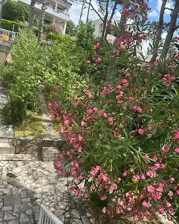 Appartement Za 2-3 Osobe *