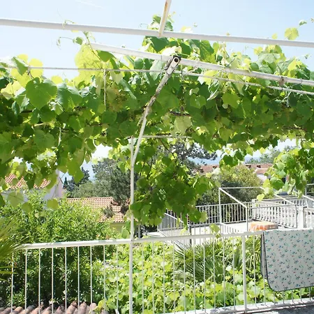 Za 2-3 Osobe * 셀스