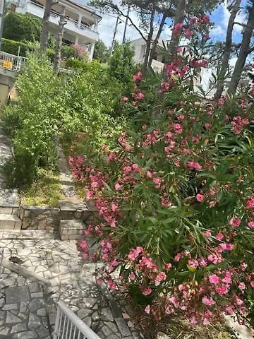 דירה Za 2-3 Osobe *